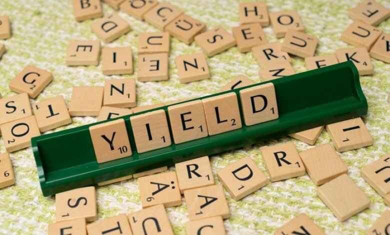dividend yield management group