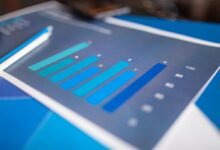 macro trend insight report