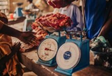 market calibration data log