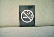 sector expansion signal bulletin