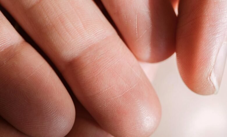 contact details analysis overview