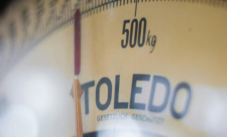 industry growth and analysis