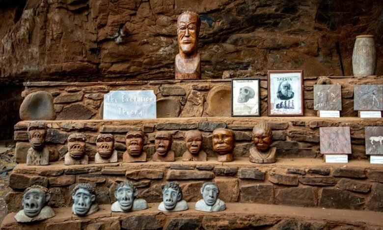 tactical scaling evolution guide