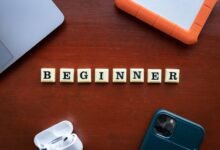 beginner s guide to bbaijabu details